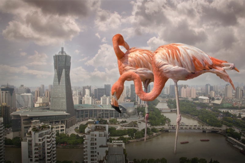 C:\Documents and Settings\闂€佸笀\妗岄潰\绗洓灞婃憚褰辩珵璧涜幏濂栦綔鍝侊紙鏁板獟鑹烘湳绯伙級\鏂逛腹鍗庛€婂煄甯傚寲杩涚▼涓庣敓鎬佺幆澧冮棶棰樹富棰樻憚褰便€媆.jpg